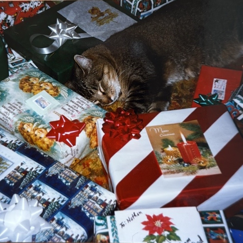 Meet your Posher, RASCAL - Picture 14 of 15